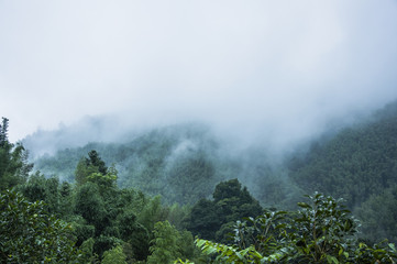 江西庐山植物园
